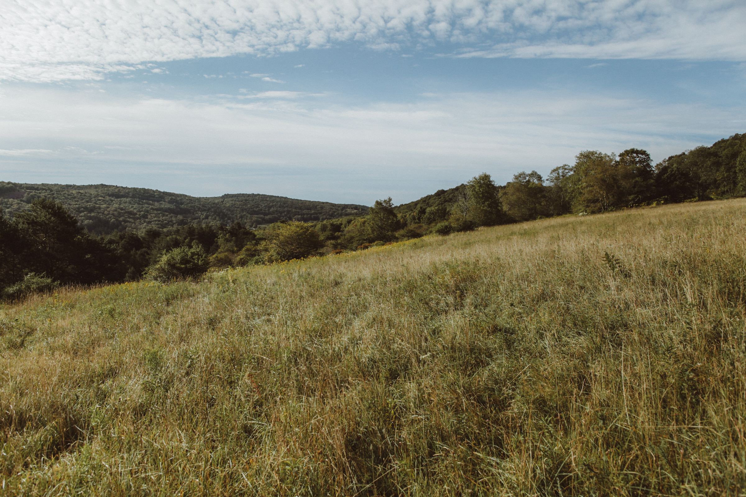 Rolling fields with the Catskills beyond